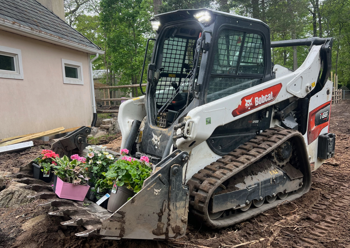 Bobcat